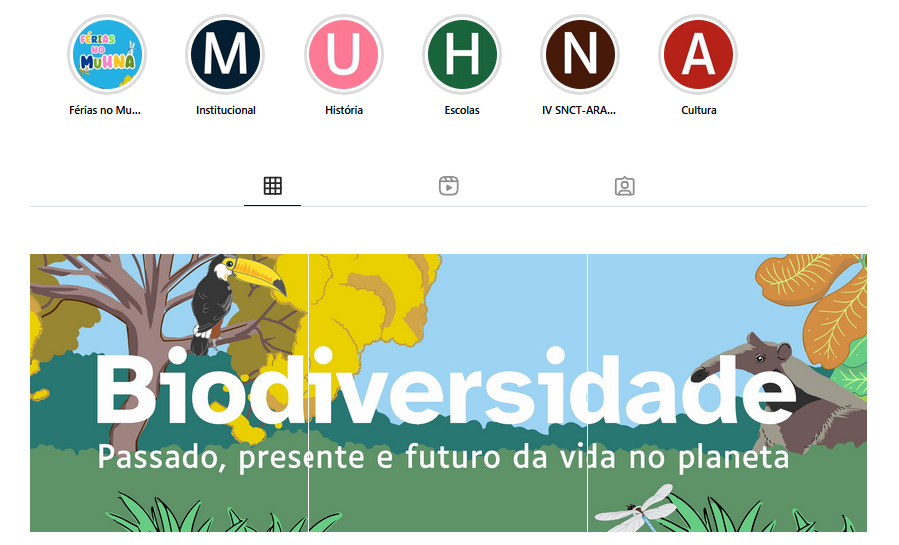 Página principal do instagram do MuHNA. Cinco bolinhas coloridas com cada qual possuindo uma letra do nome MuHNA. Abaixo, o banner da exposição de longa duração